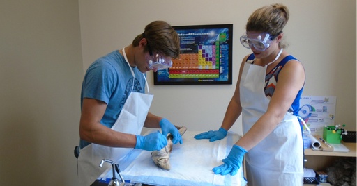 learning-science-in-a-one-to-one-environment-512x268.jpg