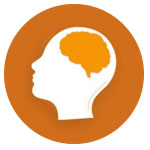 brain